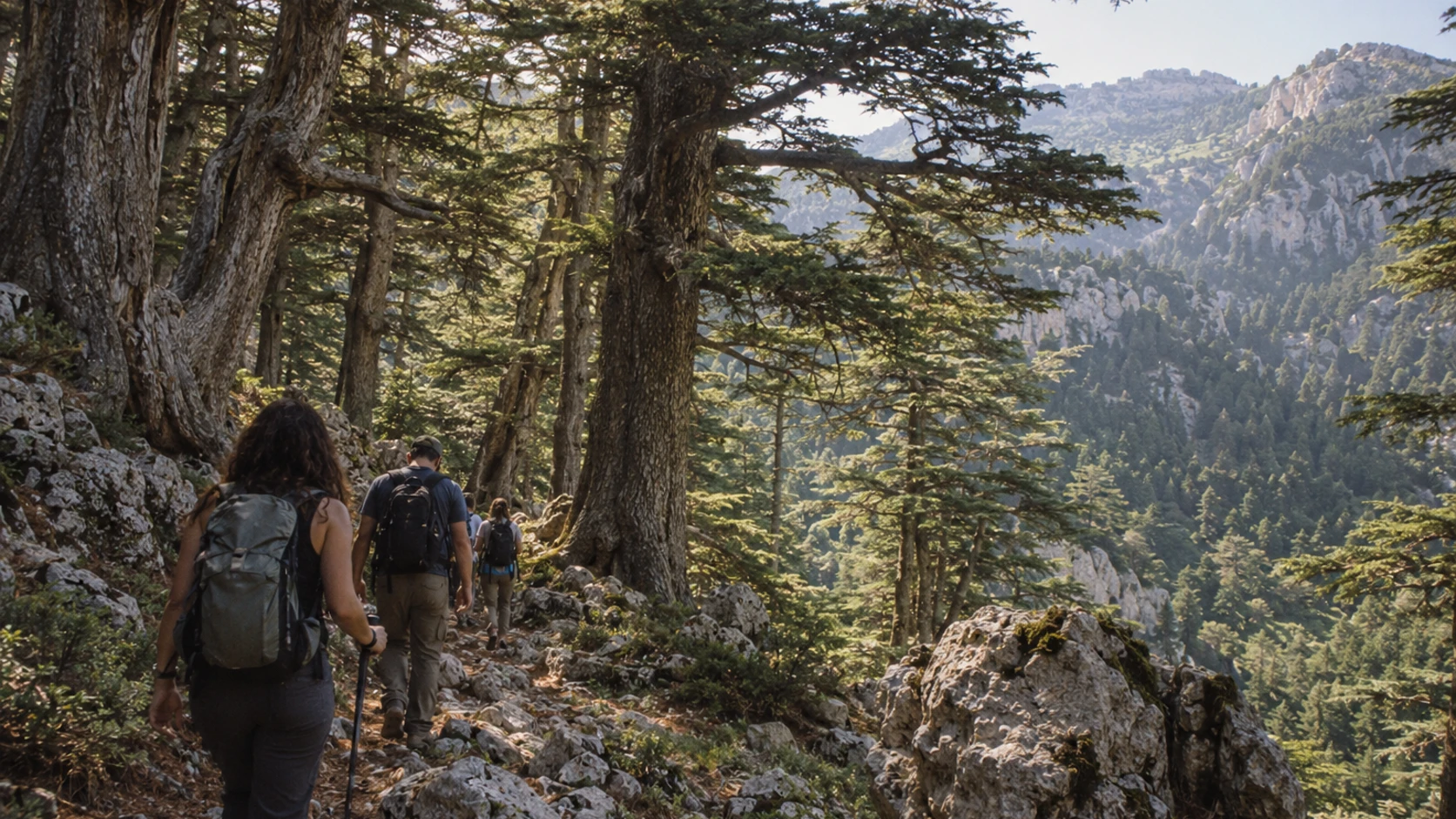 Horsh Ehden au Liban : localisation et lecture des coordonnées GPS
