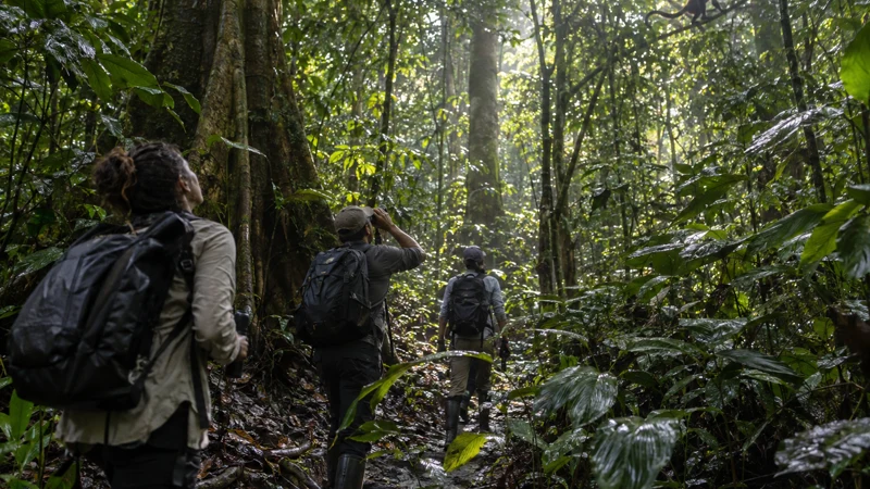 Le fabuleux parc national Corcovado au Costa Rica