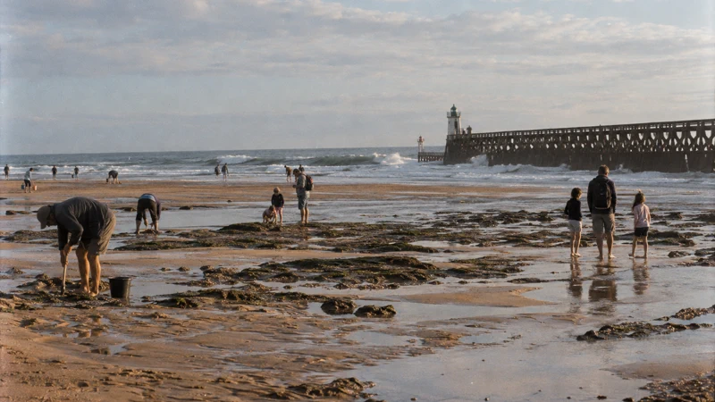 Marée à Capbreton : horaires, coefficients et sécurité