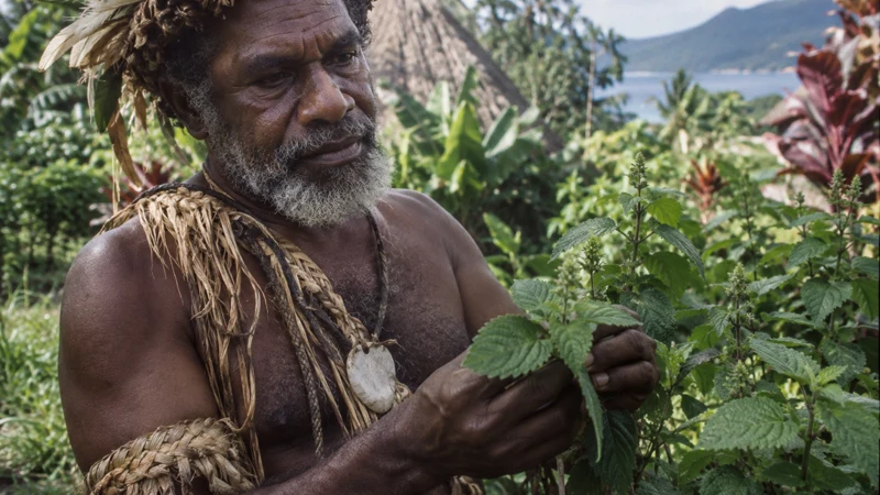 Démêler la confusion entre le chef kanak et le patchouli