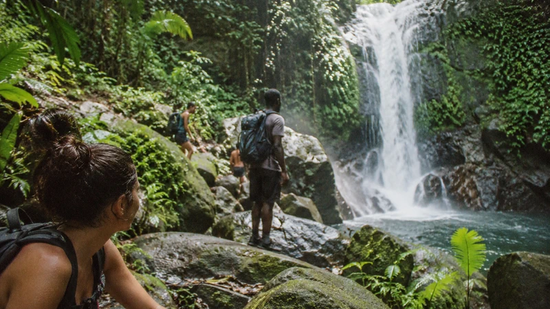 Que faire en Guadeloupe ?