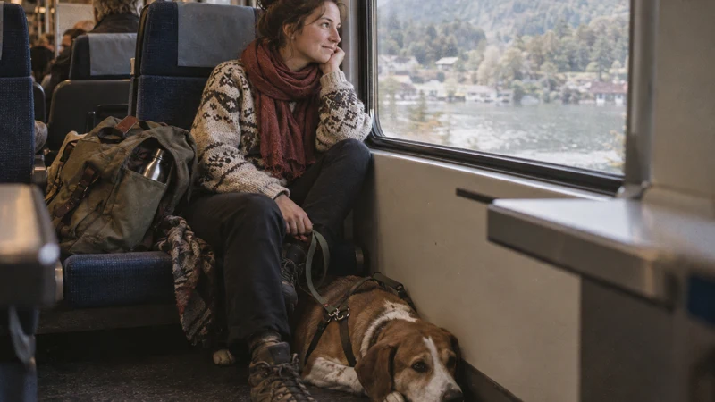 Voyager en train avec un animal de compagnie : conseils et astuces pratiques pour un trajet réussi
