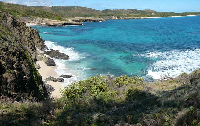 Que faire en Martinique ?