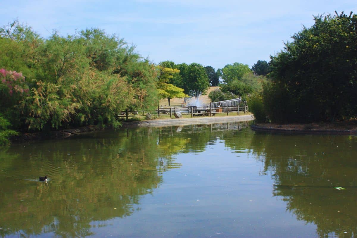 une-famille-samuse-dans-lun-des-meilleurs-parcs-aquatiques-en-ile-de-france-profitant-du-soleil-et-de-leau-pour-des-souvenirs-inoubliables