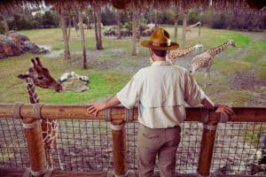 Les 10 plus beaux zoos d’Europe à découvrir