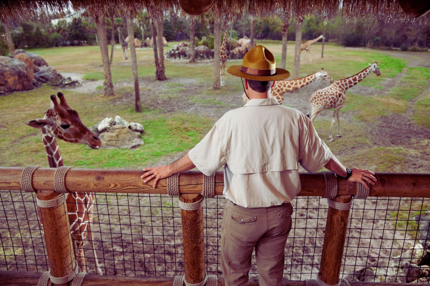 Découvrez les 10 zoos les plus magnifiques d'Europe, des lieux fascinants où la faune sauvage est mise en valeur dans des environnements naturels exceptionnels.